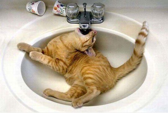 Kann ich muss etwas Wasser pleez