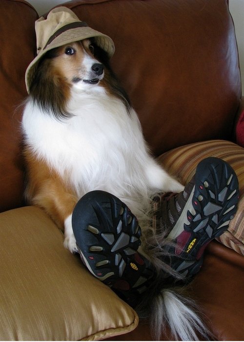 Just chillin