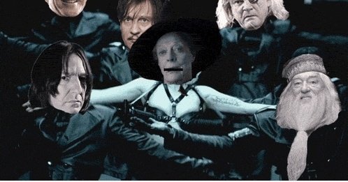 Rufen Sie nicht meinen Namen, nicht meinen Namen rufen, McGonagall (. Gif)