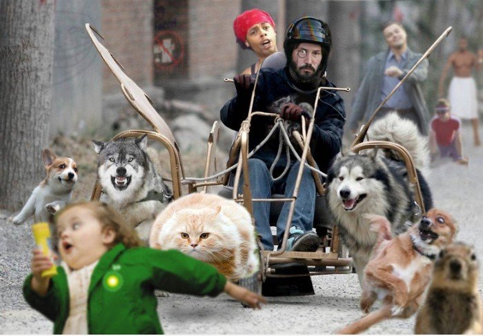 So viele Meme