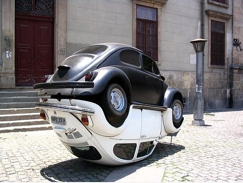 Twin Bugs