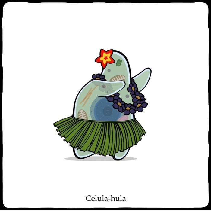 Celula-Hula