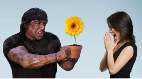 Blume: D