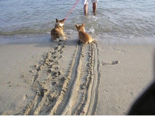 Ok, das ist weit genug ..