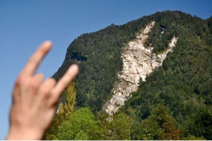 \ M /