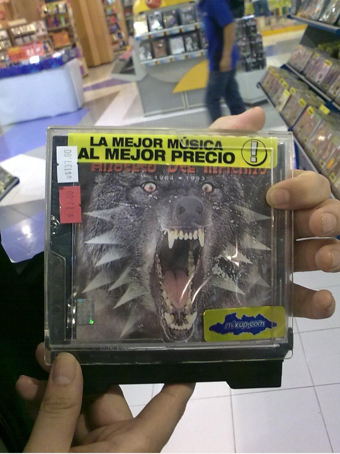 Insanity Wolf Soloalbum