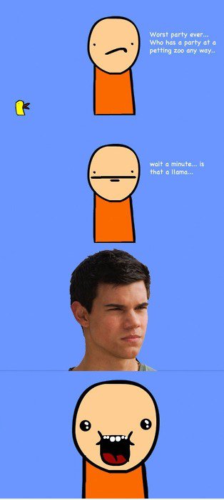 OMG ist es ein Lama!