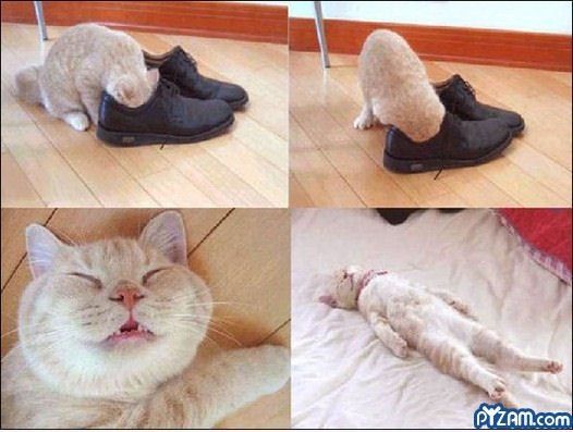 Mm .. Shoesss ..