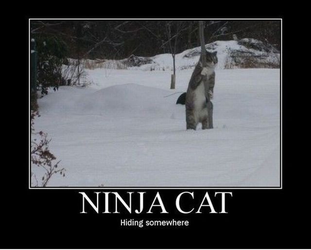 YU NO SEE ME?