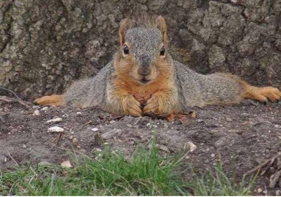Staring contest in 3 .... 2 ..... 1 ....