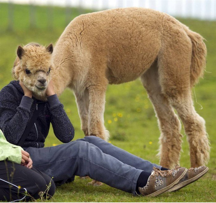 Wer braucht Photoshop?