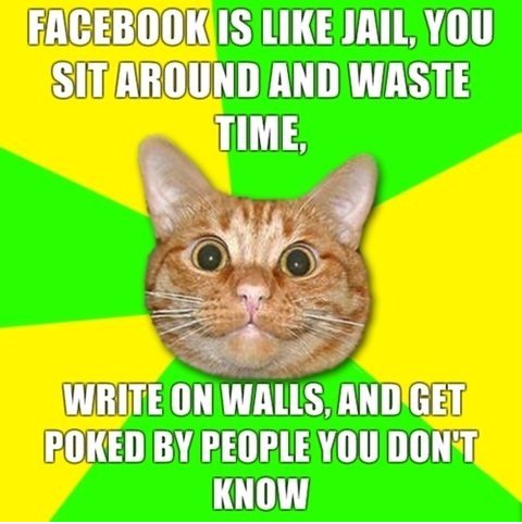 Freak cat