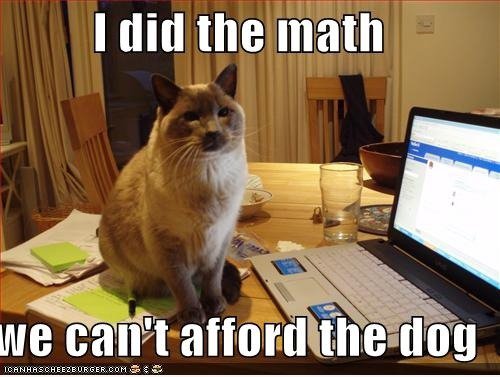 Ich Mathematik, kippen wir leisten, einen Hund zu haben