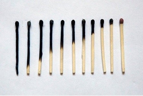 Evolution.