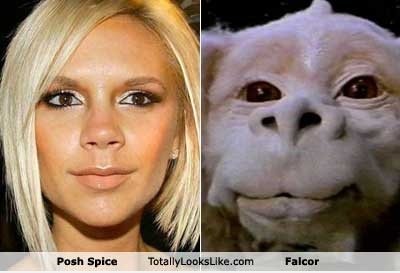 Hey ... Falcor ist irgendwie heiß ...