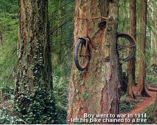 A Boy Went To War