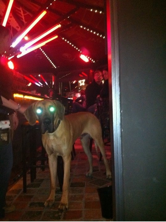 LAZORDOG!