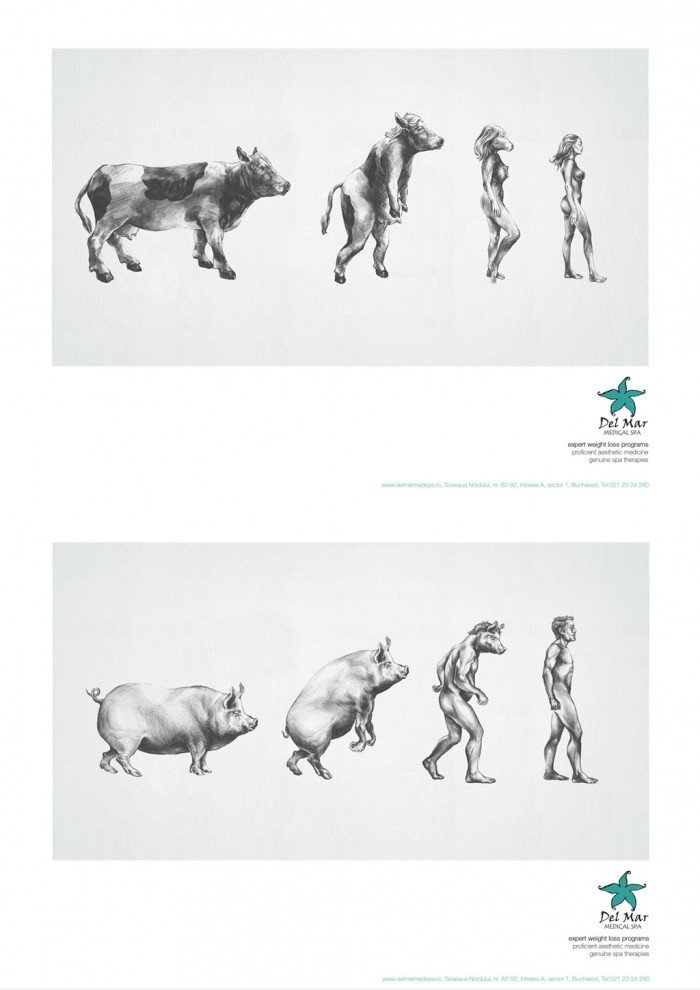 男女 进化论 (Evoluation von Männern und Frauen)