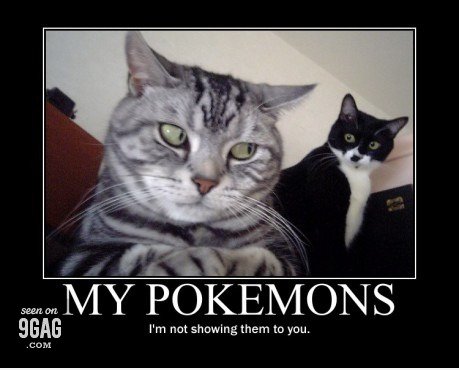 Im nicht zeigt pokeman tu yu ...