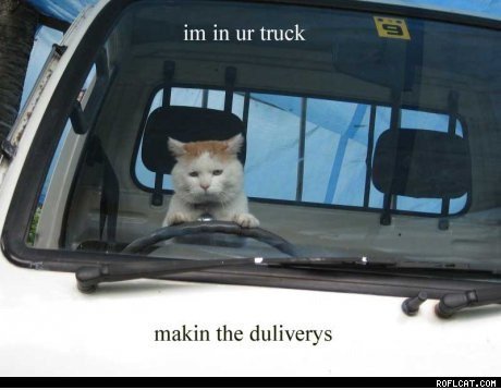 Im in ur Lastwagen, wodurch die Lieferung ...