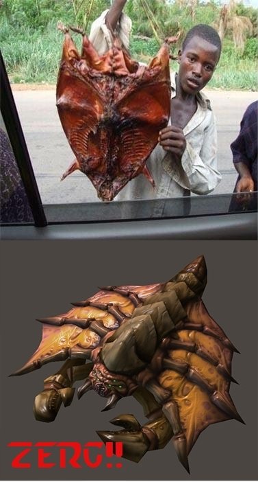 Zerg!
