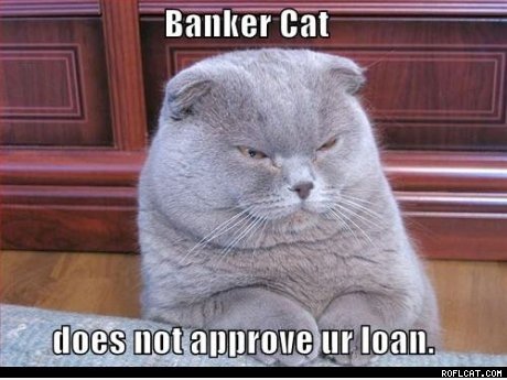 Banker Katze, nicht genehmigen Sie Darlehen ...