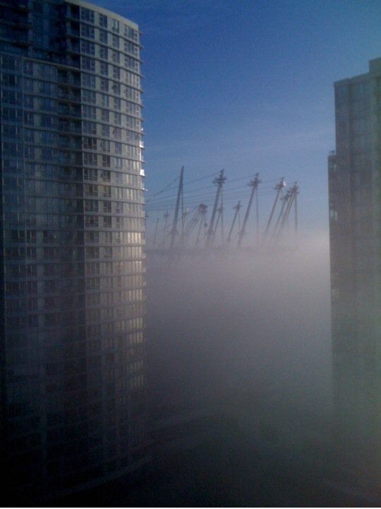 Der Blick vor meinem Fenster an diesem Morgen. Sie sind angekommen ...