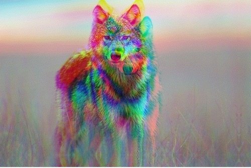 3D Wolf