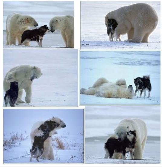 Erstaunlich Freundschaft