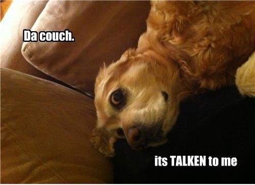 Da Couch.