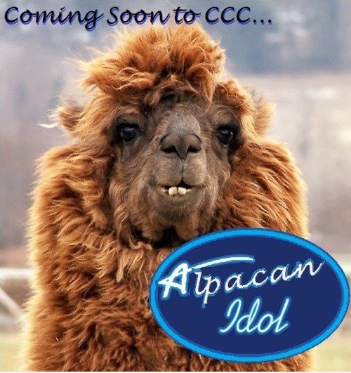 ALPACAN IDOL