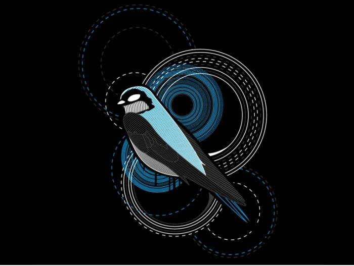 Circlybird
