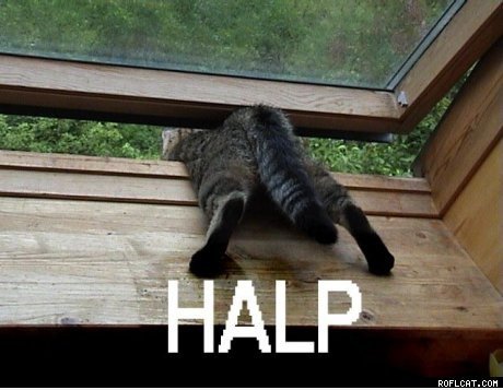 HALPP!
