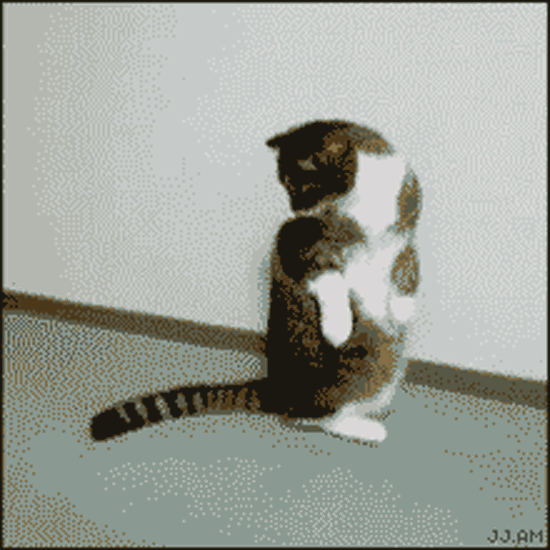 Play a game - GIF