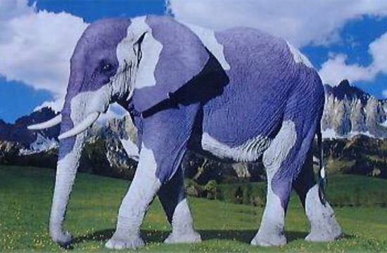 Milka Werbung Elefant statt Kuh