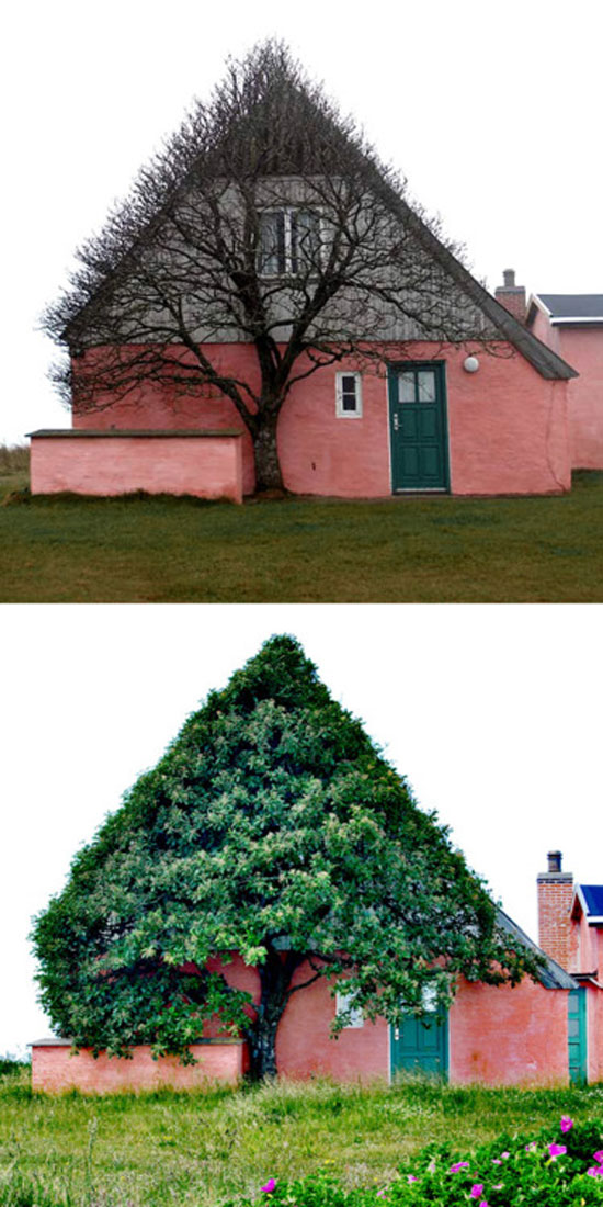 cooles haus