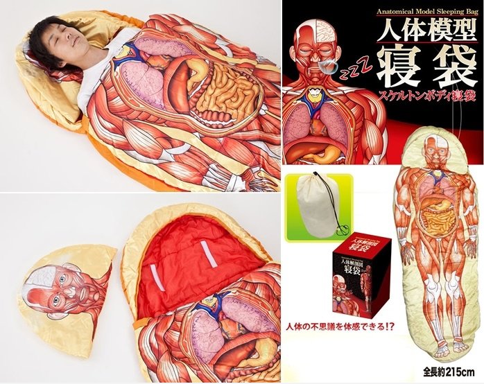 Anatomisches Modell Sleeping Bag