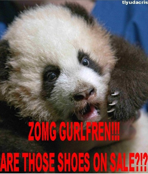 ZOMG GURLFREN