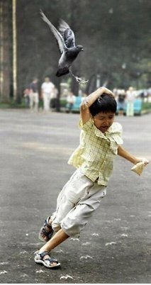 ATTACKKK