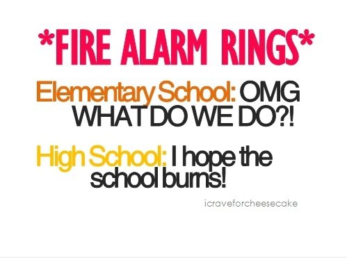 Burn burn ....