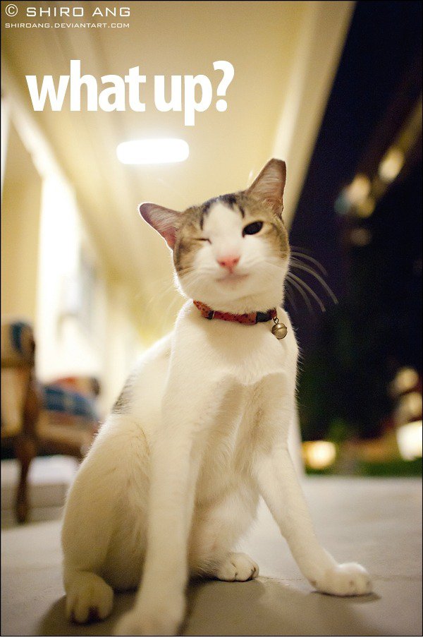 What up?