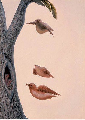 Birds vs Gesicht