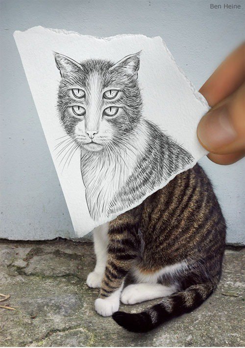 Es ist ein Bleistift vs Kamera War!