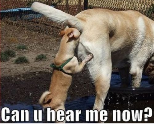 HellooooOOoooo??!?!?
