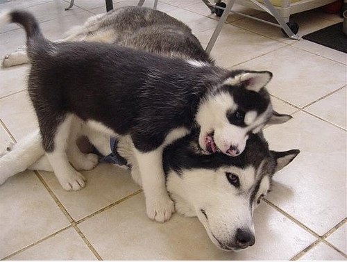 Kuscheln Kuscheln