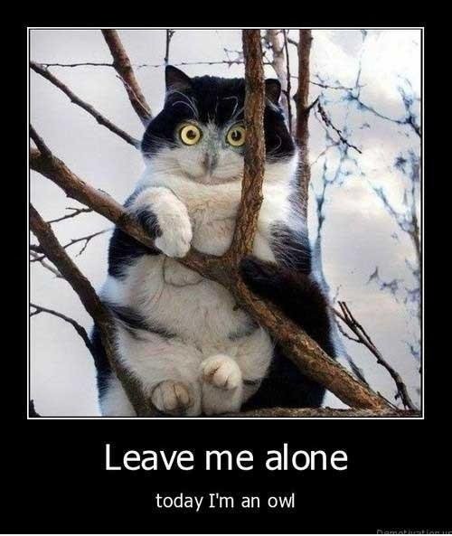 LASSEN SIE MICH ALLEIN Heute bin ich AN OWL