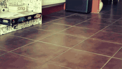 Want this Cat