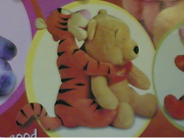 Tiger und Pooh Anreise Intimate