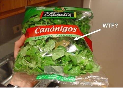 WTF ist in meinem Salat!
