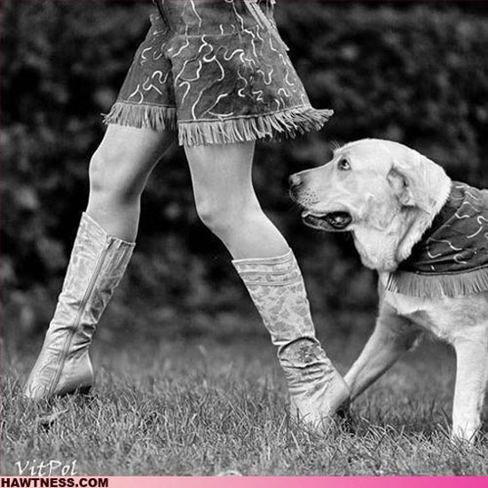 Der Hund dein bester Freund